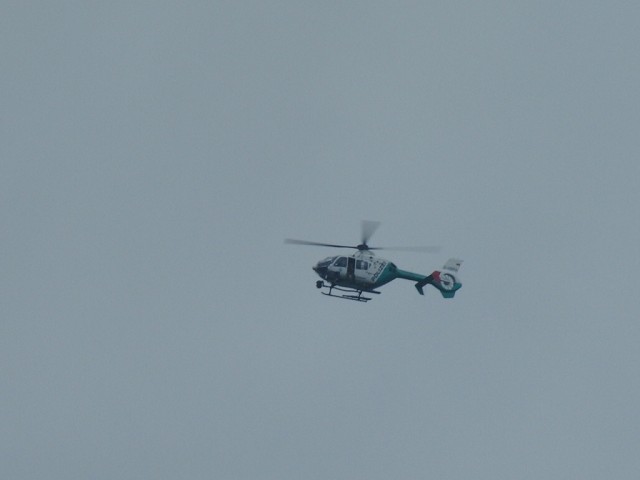 SpanferkelCIMG0910.JPG