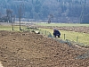 Arbeitseinsatz_210309_23